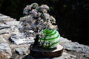 White Dogwood Tree of Life and Sparkle Orb